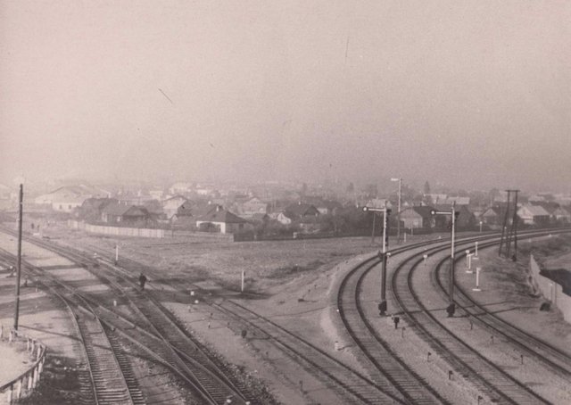 Влево на Тересполь, вправо на Брест-Северный. Автор фото - Слизов М.П. (конец 1950-х - начало 1960-х годов).jpg