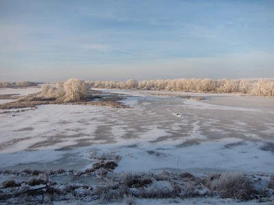 IMG_5206.JPG (503.77 КБ) Просмотров: 12767 IMG_5206.JPG