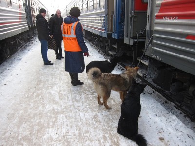 IMG_5869.JPG (619.66 КБ) Просмотров: 17870 IMG_5869.JPG