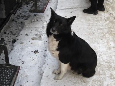 IMG_5876.JPG (534.75 КБ) Просмотров: 18871 IMG_5876.JPG