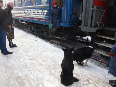 IMG_5871.JPG (605.91 КБ) Просмотров: 18871 IMG_5871.JPG