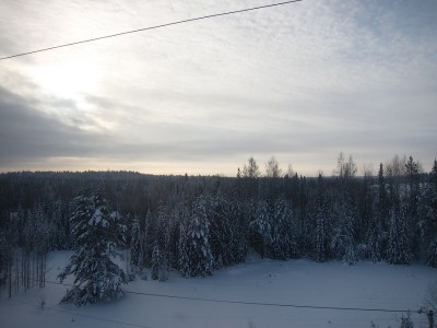 IMG_5905.JPG (452.59 КБ) Просмотров: 8770 IMG_5905.JPG