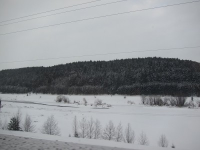 IMG_5927.JPG (426.9 КБ) Просмотров: 8375 IMG_5927.JPG