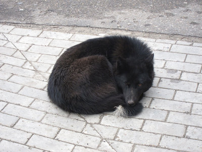 IMG_6325.JPG