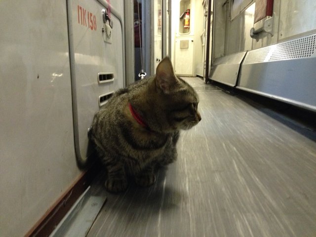 image-30-05-14-11-02.jpeg (221.63 КБ) Просмотров: 10740 image-30-05-14-11-02.jpeg