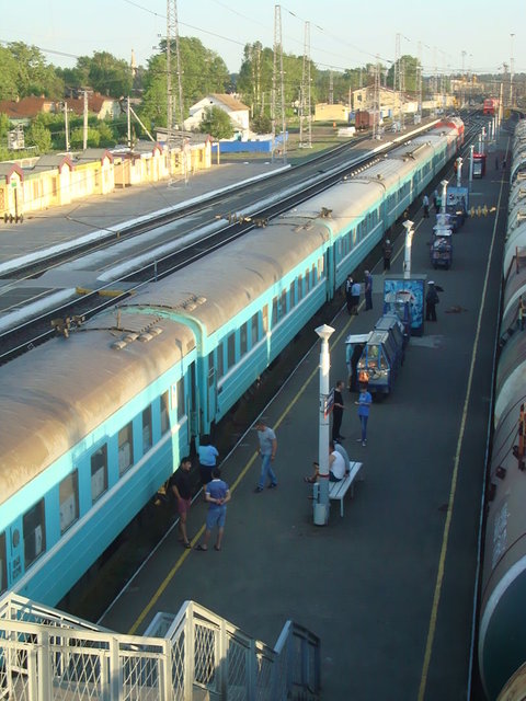 DSC03933.JPG (160.5 КБ) Просмотров: 2955 DSC03933.JPG