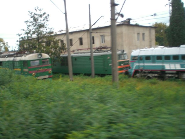 CIMG2526.JPG