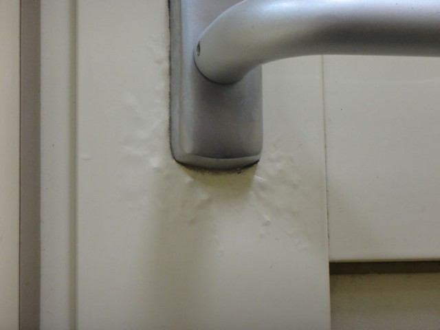 DSC02791_.jpg