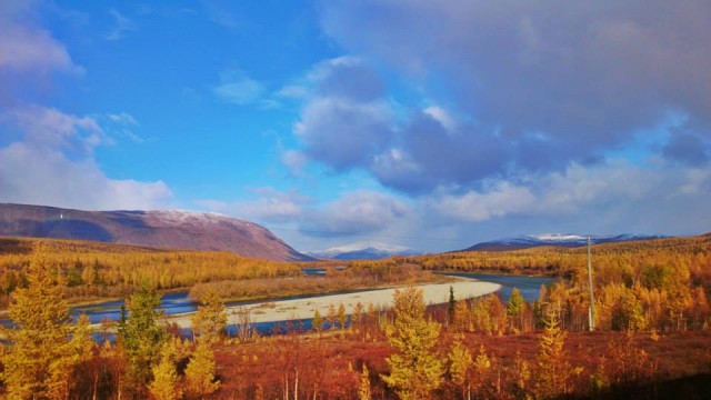 1524879_854402534599628_8210985324462248242_n.jpg (56.58 КБ) Просмотров: 3883 1524879_854402534599628_8210985324462248242_n.jpg