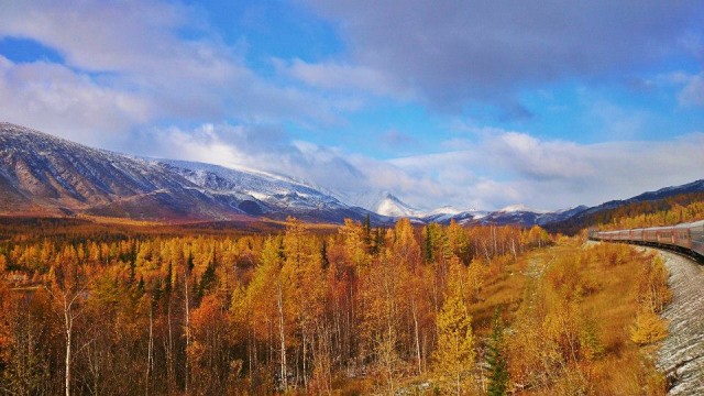 10253855_854402504599631_5653927671672458370_n.jpg (114.29 КБ) Просмотров: 4166 10253855_854402504599631_5653927671672458370_n.jpg