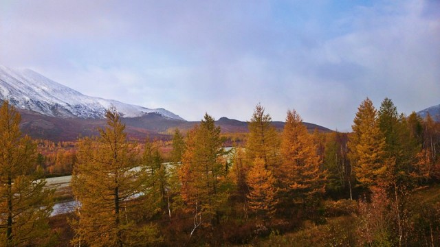 1426232_854402391266309_6065020866248135285_n.jpg (90.62 КБ) Просмотров: 4546 1426232_854402391266309_6065020866248135285_n.jpg