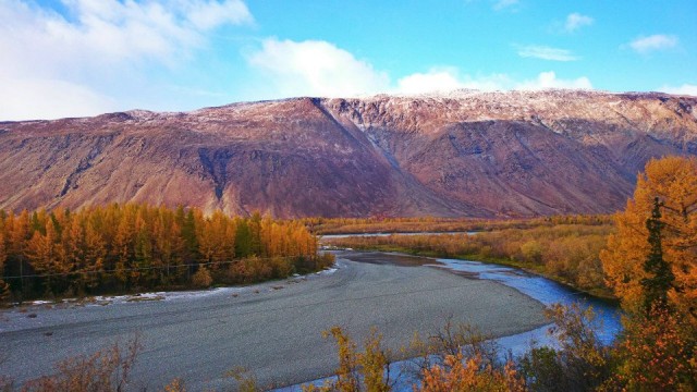 1002695_854402524599629_7595235377417379347_n.jpg (124.93 КБ) Просмотров: 4357 1002695_854402524599629_7595235377417379347_n.jpg