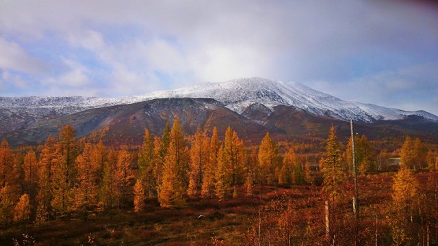 10387421_854402417932973_7144965699636328122_n.jpg (99.43 КБ) Просмотров: 5251 10387421_854402417932973_7144965699636328122_n.jpg