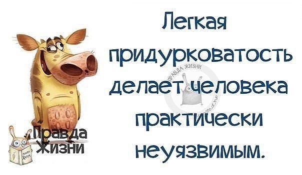 правда жизни.jpg