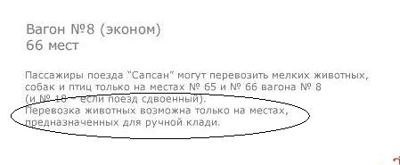 сапсан.JPG