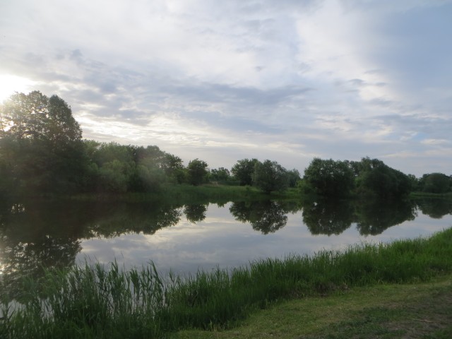 IMG_7368.JPG