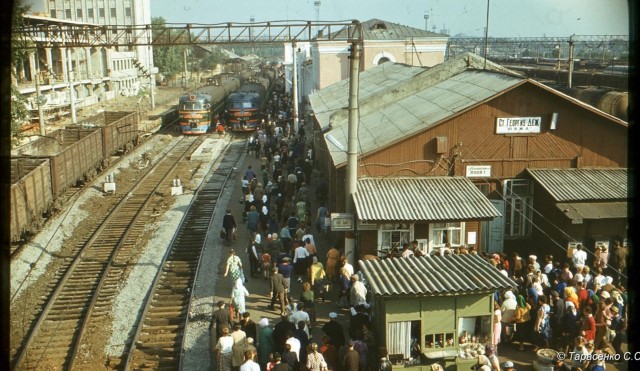 image 3.jpg