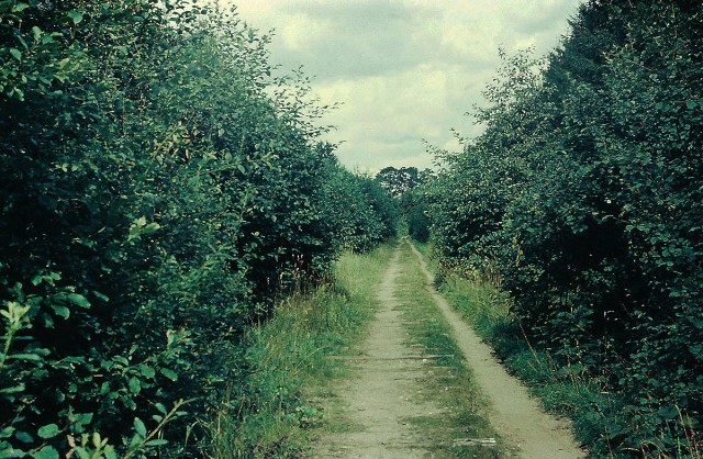 Ex. Ape - Alūksne narrow gauge line, Alūksne station (18.08.1981).jpg