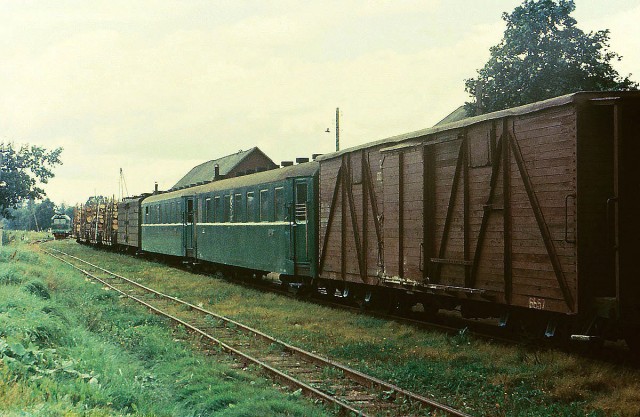 750 mm freight-passenger train at the Alūksne station (18.08.1981).jpg
