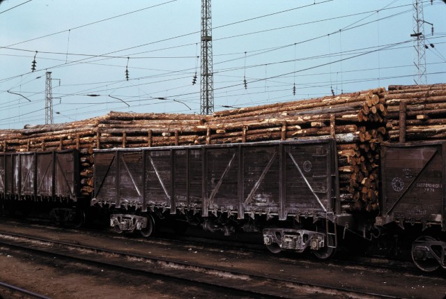 Holz-Transport bei Jaroslawl 07.1979.jpg
