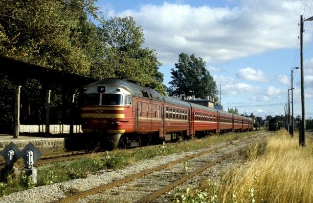 EVR DR1A-239 + 183 at the Haapsalu station (30.08.1994).jpg