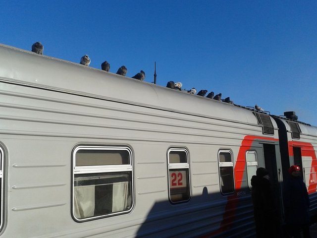 20160315_071511.jpg