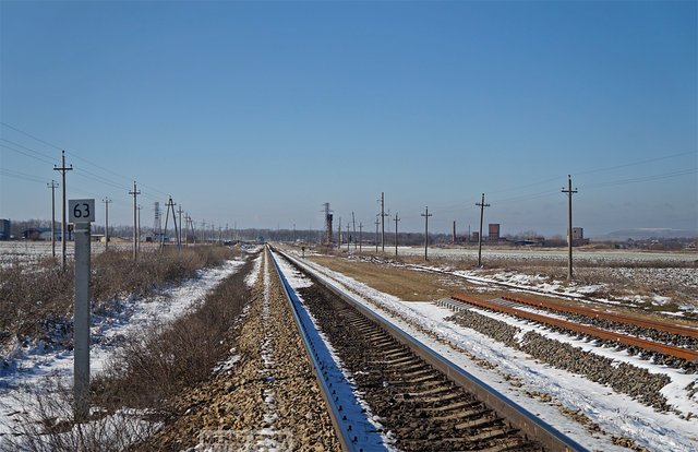 DSC05989.JPG