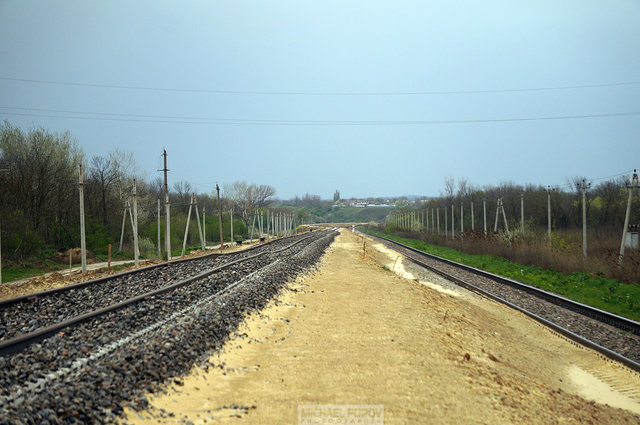 DSC06822.jpg