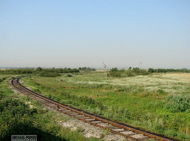 060808_9kmT-K.jpg