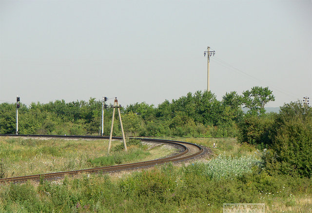 060808_9kmA-K.jpg