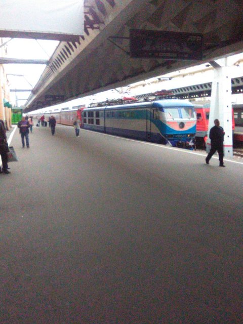 tmp_31823-DSC_03021859481973.JPG