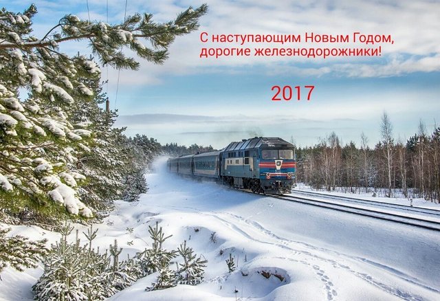 нг.jpg