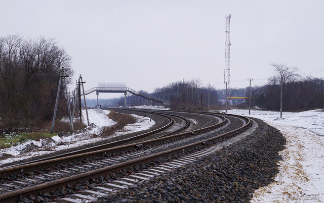 220117-yuks-01-dgig.jpg
