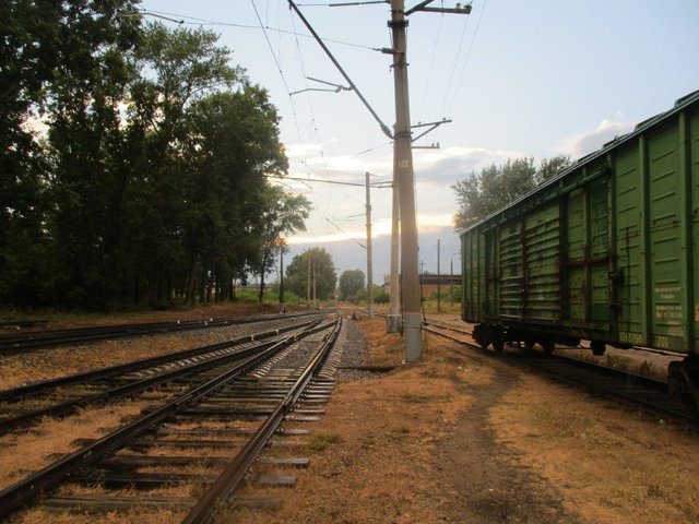 IMG_4484.jpg