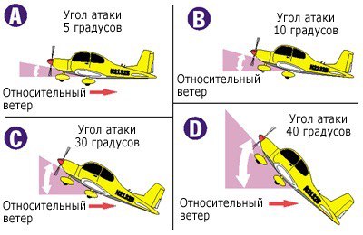 7ED3AC35-6CCA-46A6-B892-A24E9E97424B.jpeg