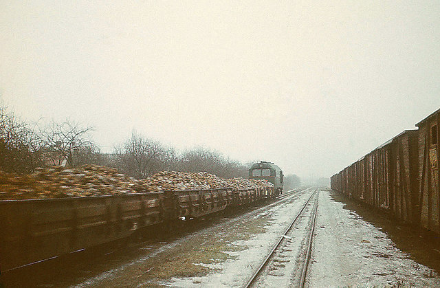 Sugar beet train at the Panevėžys station (05.01.1974).jpg