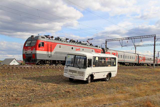 2290488.jpg