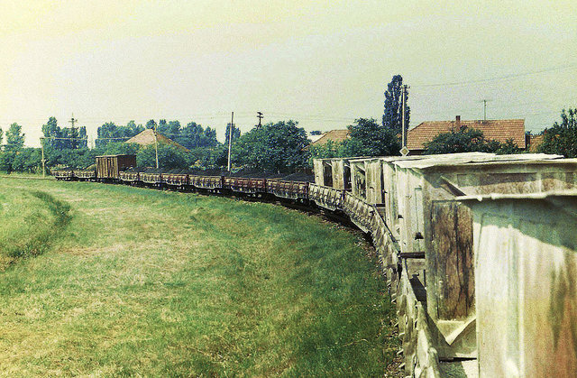 Freight train near Irshava staton (21.06.1982).jpg