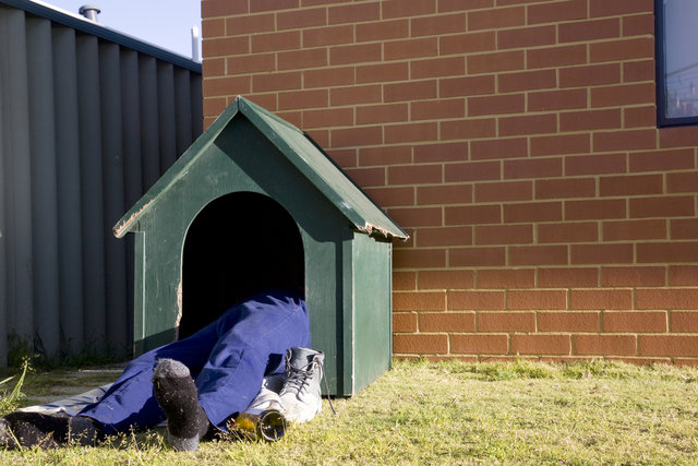 in-the-dog-house-iStock.jpg