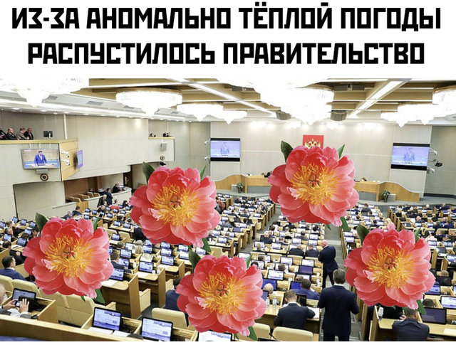 0E938790-E3CB-44F0-B074-95E8A5E05A31.jpeg