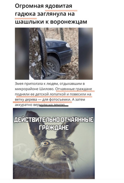 8D53C199-C5D3-4ABC-997C-CA0C7AE504B9.jpeg