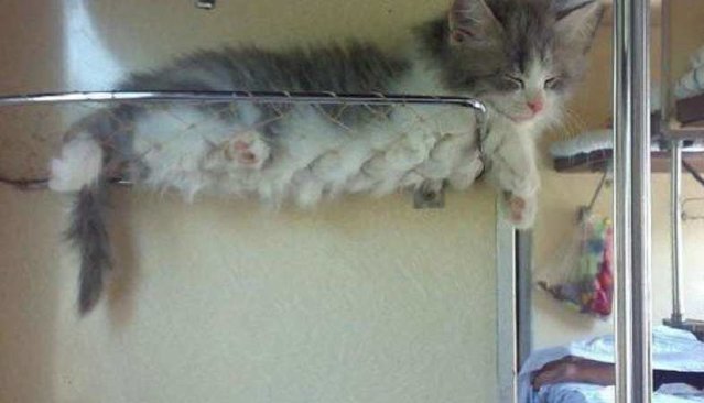 4a78697cd7e72539a986cef841e6f91d_w786_h450_cp.jpg (25.77 КБ) Просмотров: 1643 4a78697cd7e72539a986cef841e6f91d_w786_h450_cp.jpg