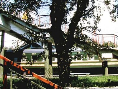 vlcsnap-2011-06-17-22h17m32s137.jpg