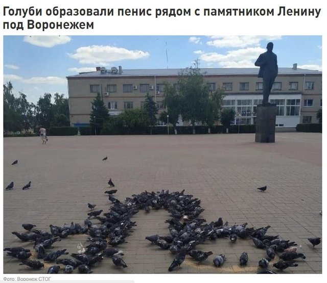8A3FE570-3F84-476E-9BF9-C718C8B59B3B.jpeg