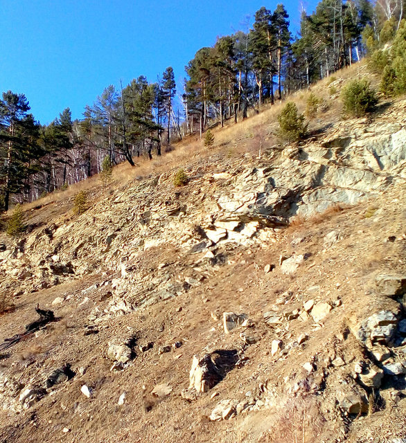 IMG_20170408_173948-001.jpg (452.92 КБ) Просмотров: 2793 IMG_20170408_173948-001.jpg