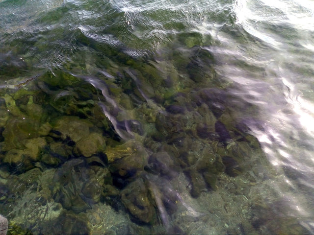 IMG_20170410_161131.jpg (276.55 КБ) Просмотров: 2787 IMG_20170410_161131.jpg