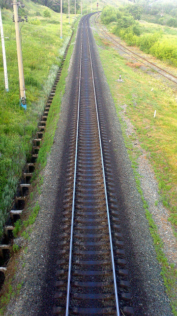 DSC_0727.jpg