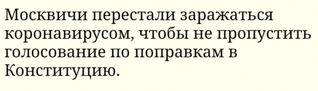 99C5C85E-7A83-4646-8793-4F44171DB986.jpeg