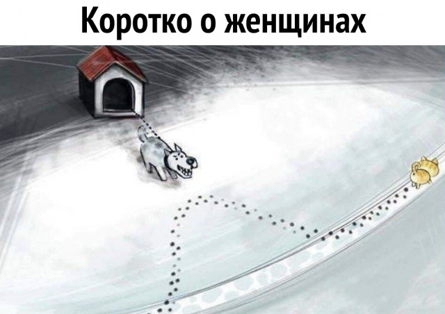 1550056017_smeshnye-kartinki-s-nadpisjami-0.jpg