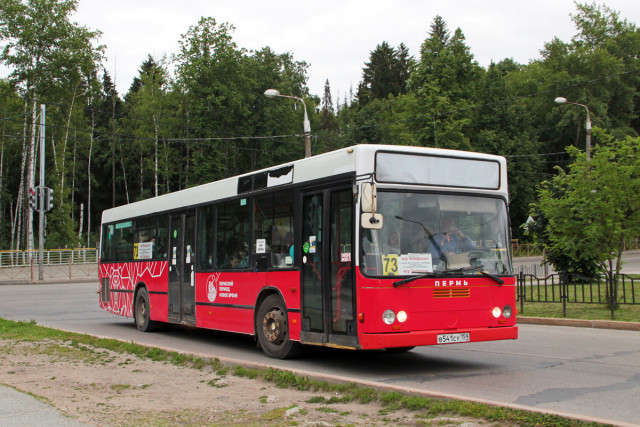 2439051.jpg